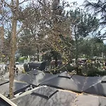 Kevin's 101 - Tirane, Albania Tirana