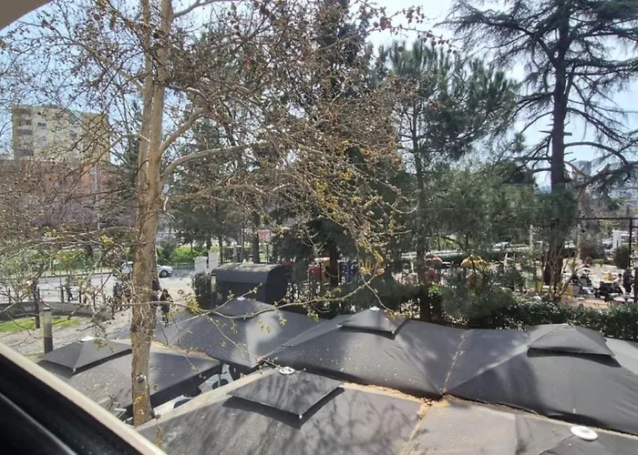 Kevin's 101 - Tirane, Albania Tirana